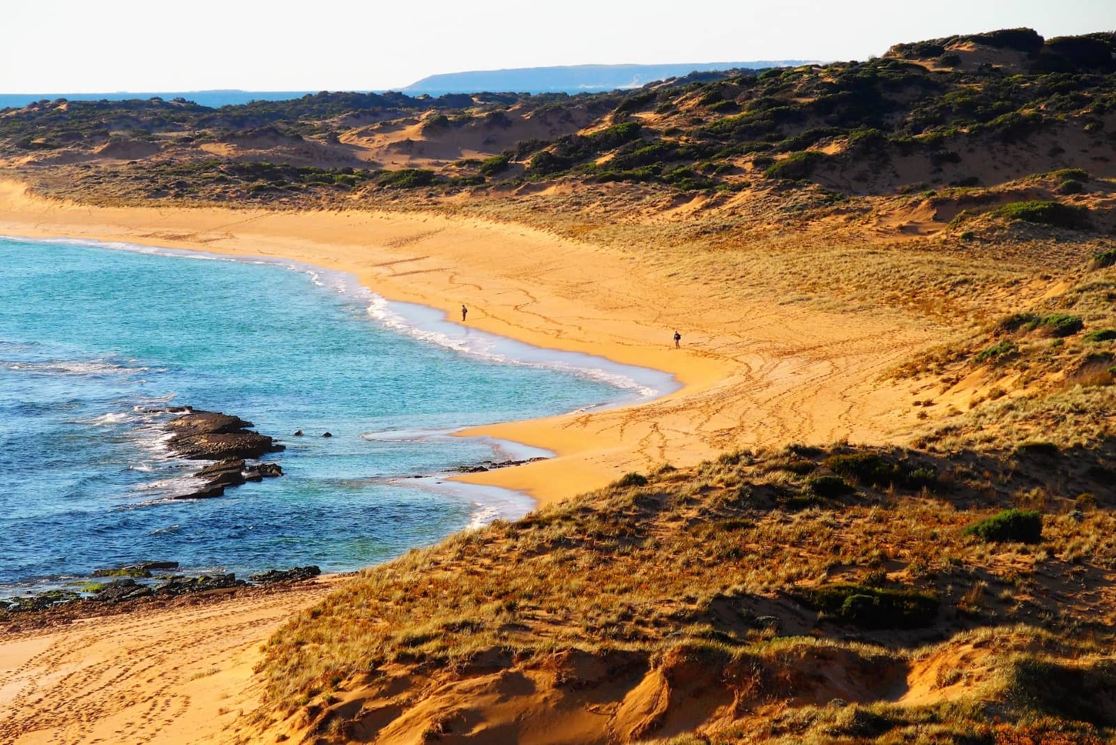 A quiet beach with golden sand and turquoise water, with two people walking along the shoreline surrounded by rugged dunes on a Yorke Peninsula road trip.