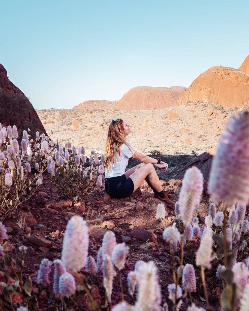 A woman sits peacefully among blooming pink mulla mulla flowers with Kata Tjuta’s rounded domes rising in the background, captured during an alice springs to uluru road trip. The scene is vibrant and serene.
