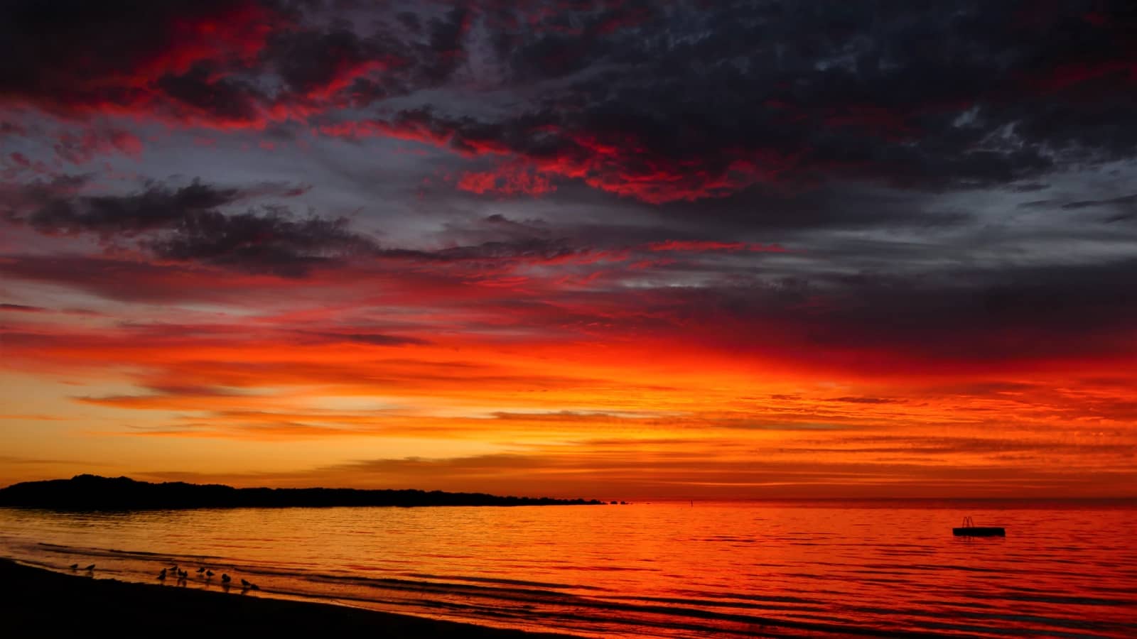 Vibrant red, orange, and purple clouds streak the sky over calm ocean waters at sunset in Port Lincoln, South Australia. Silhouetted birds gather at the water’s edge while a small floating platform rests offshore.