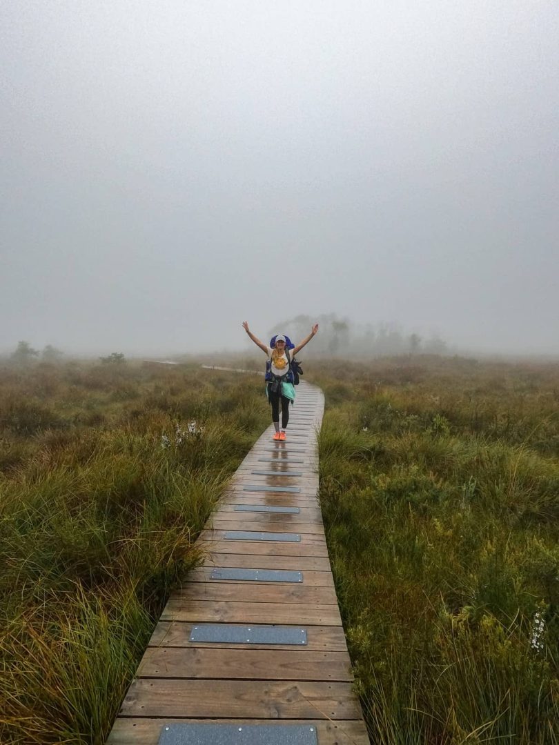 A hiker with arms raised walks along a foggy wooden boardwalk trail on the Three Capes Track, typical of Tasmania’s wild landscapes on a 7 day road trip.