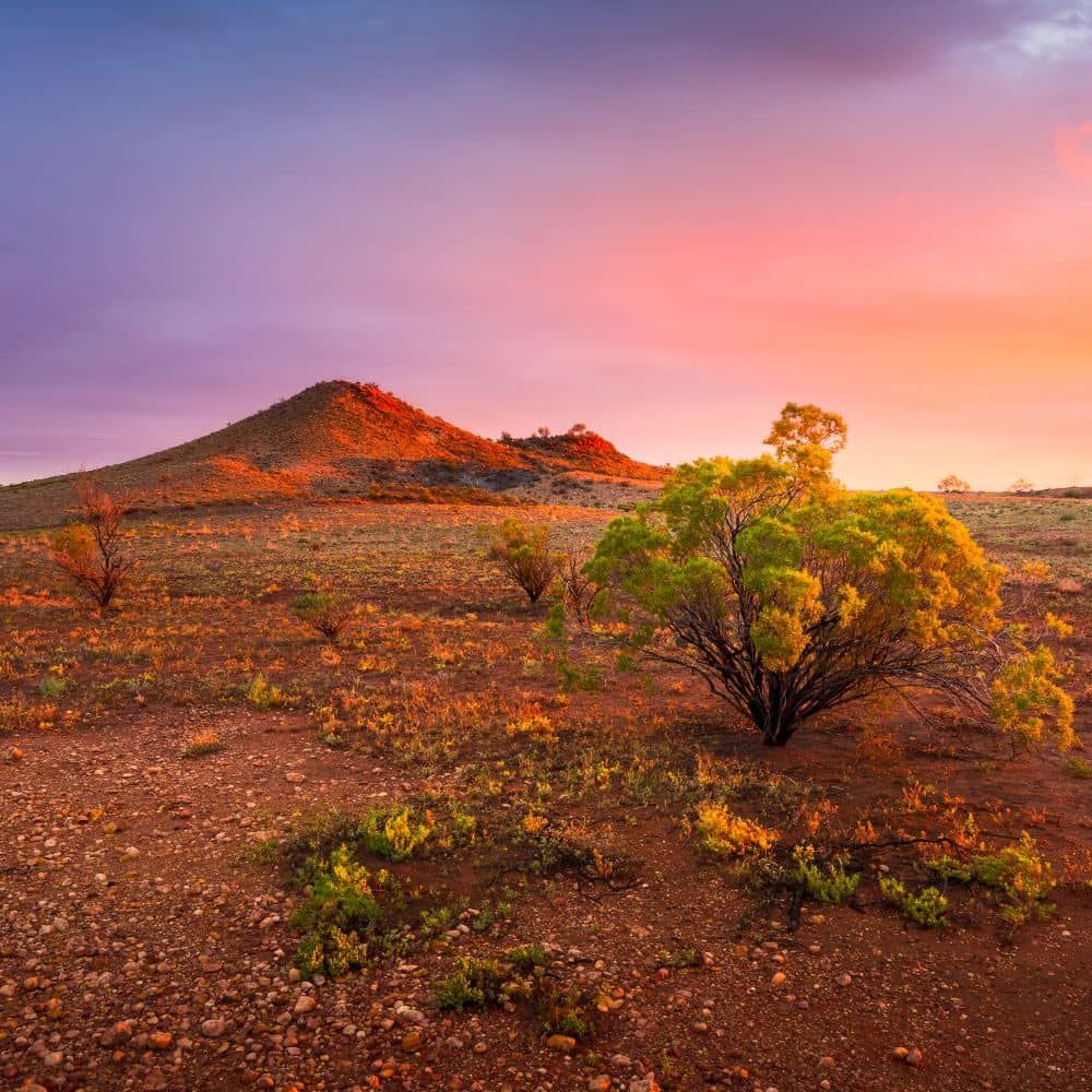 Image of the Anzac Hill at sunset, surrounded by desert. One of the top 15 things to do in Alice Springs.