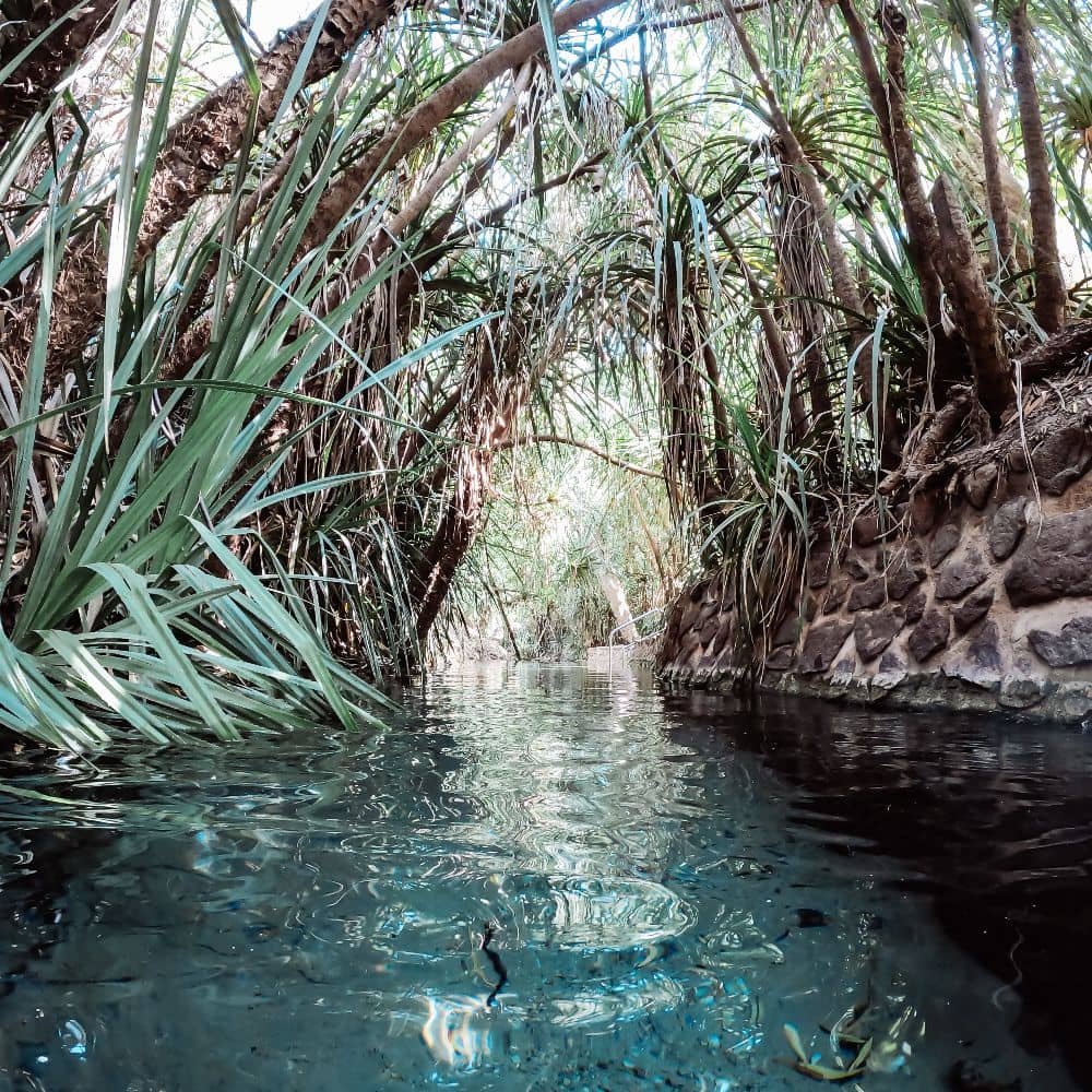 A body of water surrounded by greenery. Located in the unforgettable Katherine Hot Springs.