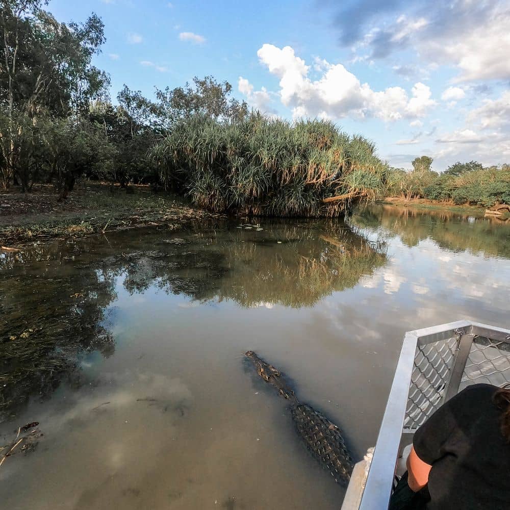 Bit of a person fishing while a crocodile swims in the water with half its body out. Something unmissable in Kakadu National Park. You can find this on the yellow water billabong.