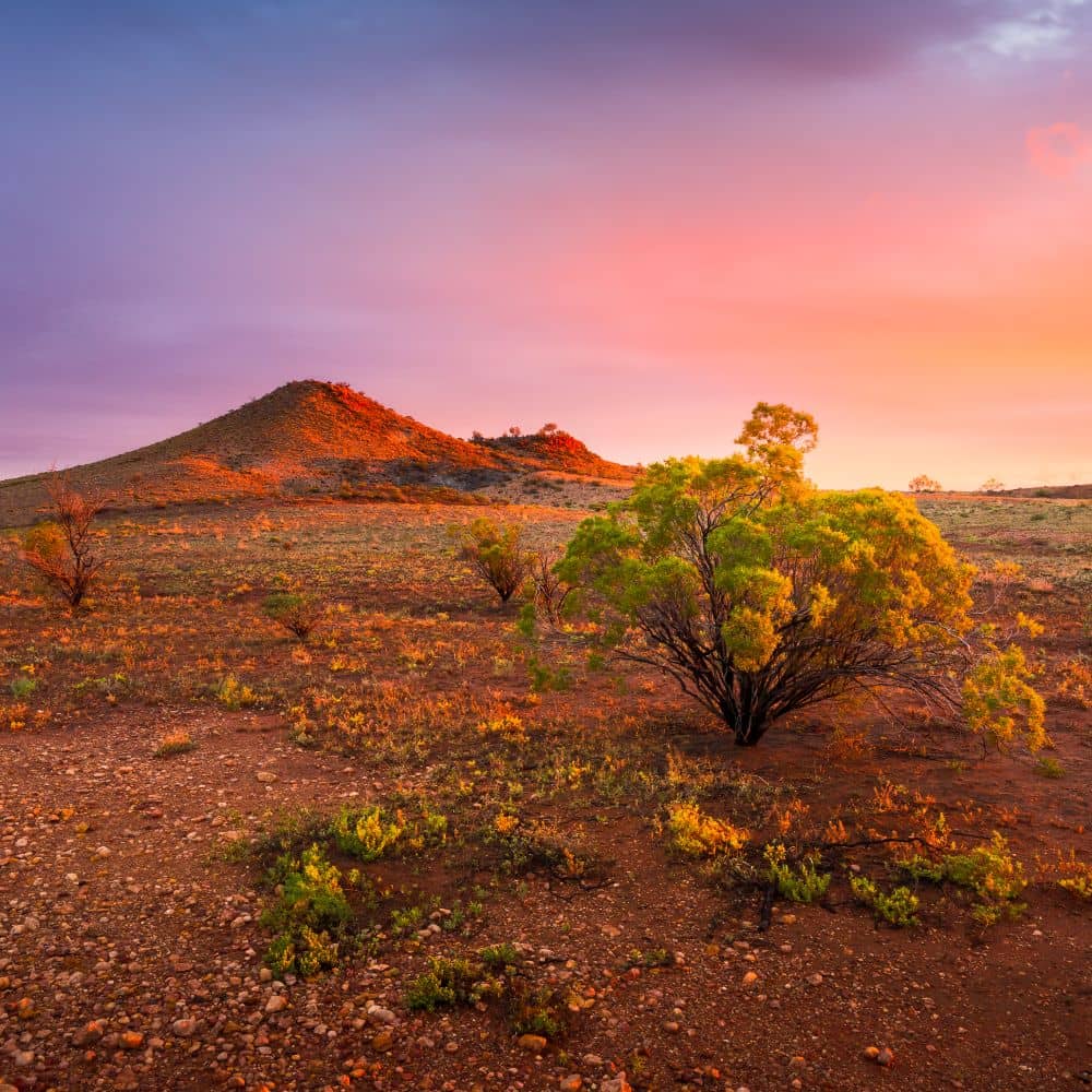 A mountain surrounded by desert at sunset. One of the best things to see in Alice Springs for free. Found at Anzac Hill in Alice Springs.