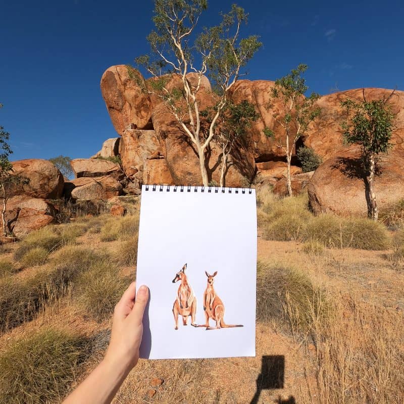 Learn the history of Devils Marbles. Art painting of Devils Marbles wildlife