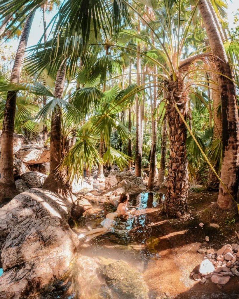 A woman relaxes in the warm, shallow rock pools of Zebedee Springs, surrounded by towering Livistona palms and rugged rocks—a tropical oasis often included in a gibb river road itinerary near El Questro.