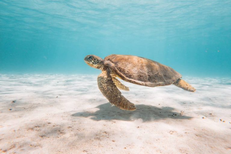 11 best beaches