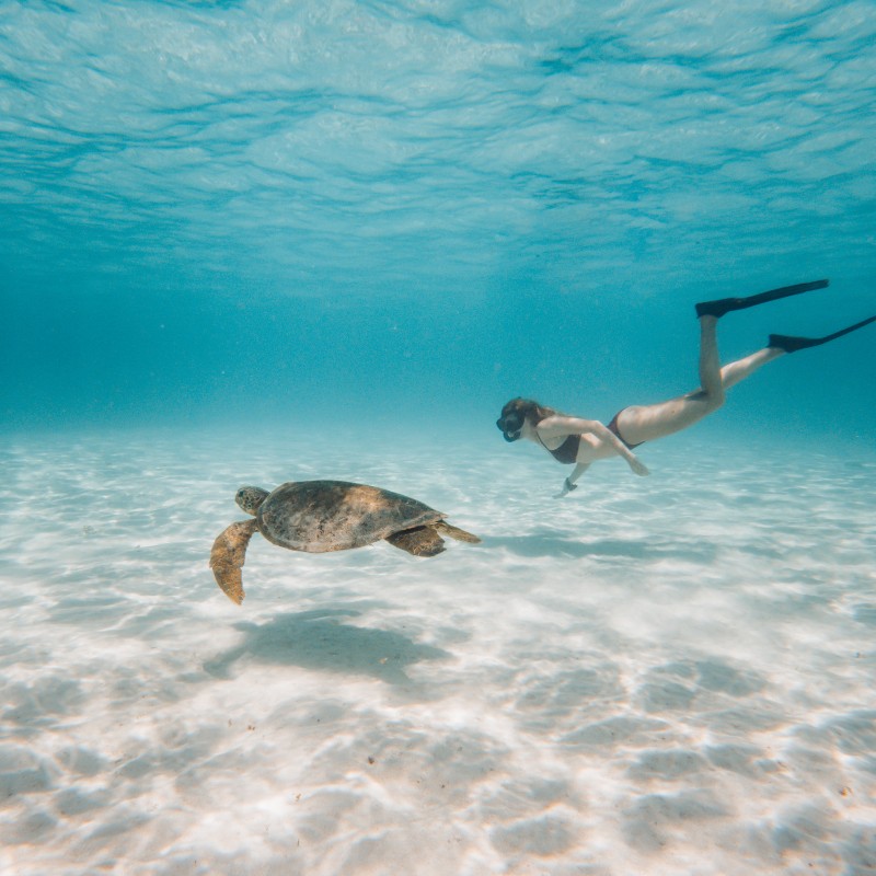 Swimming with turtles in Exmouth. How to Make the Most of Your Week in Exmouth