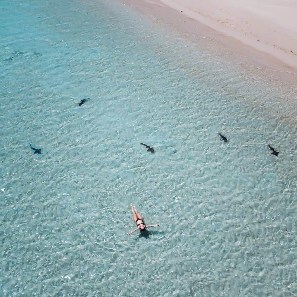 Young women lying in the crystal clear water of the baby shark nursery in Coral Bay, Western Australia. Great no-cost activity in Coral Bay.