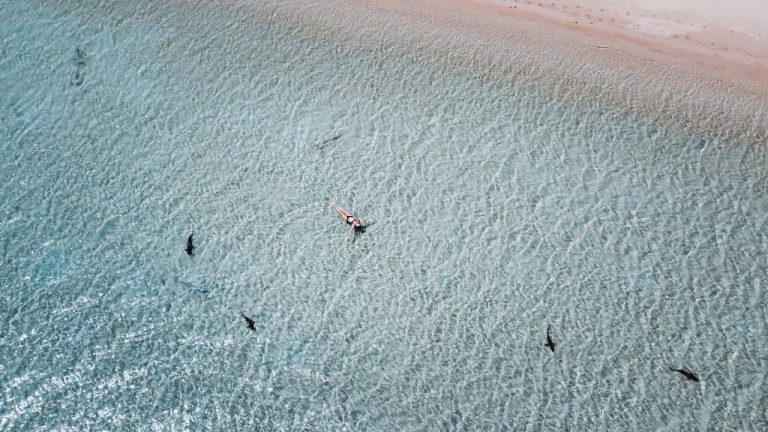 Free thing to do in Coral Bay Western Australia