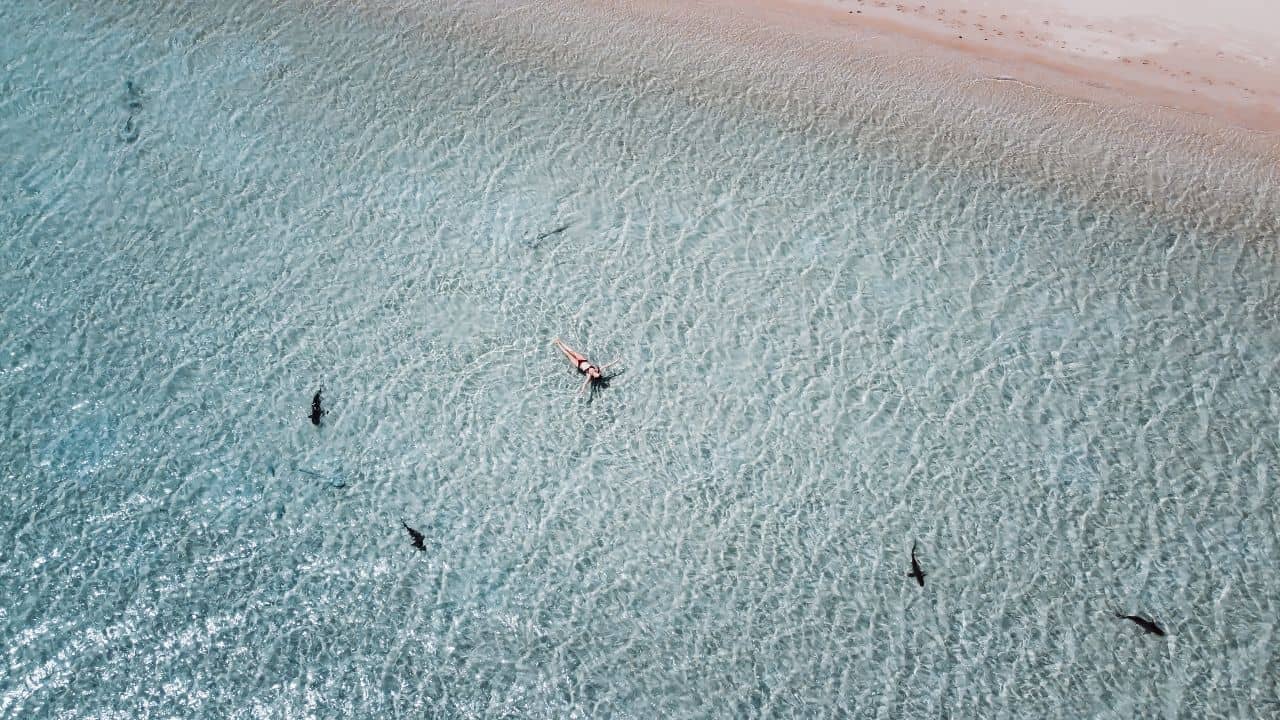 Free thing to do in Coral Bay Western Australia