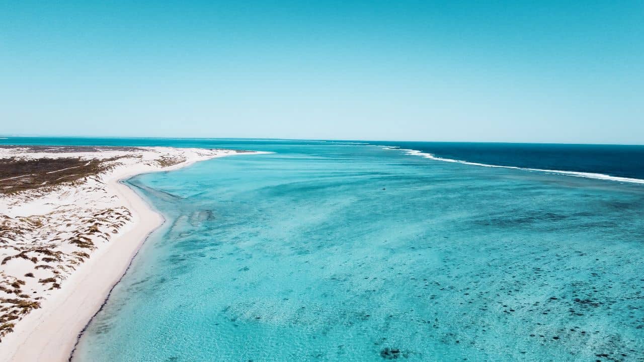 The beautiful Coral on the Ningaloo Reef. Best time to visit the Ningaloo Reef