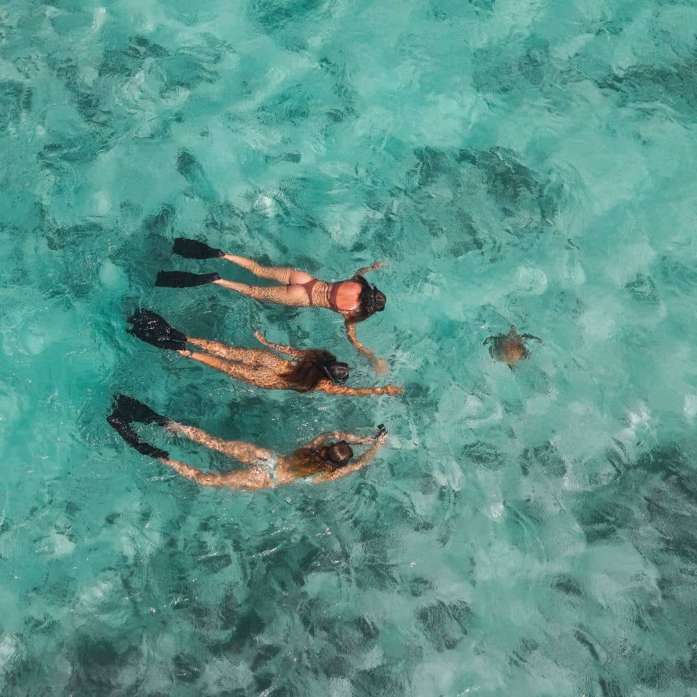 Three girls Snorkelling in the crystal clear water of Exmouth, Western Australia. Great thing to do in Exmouth