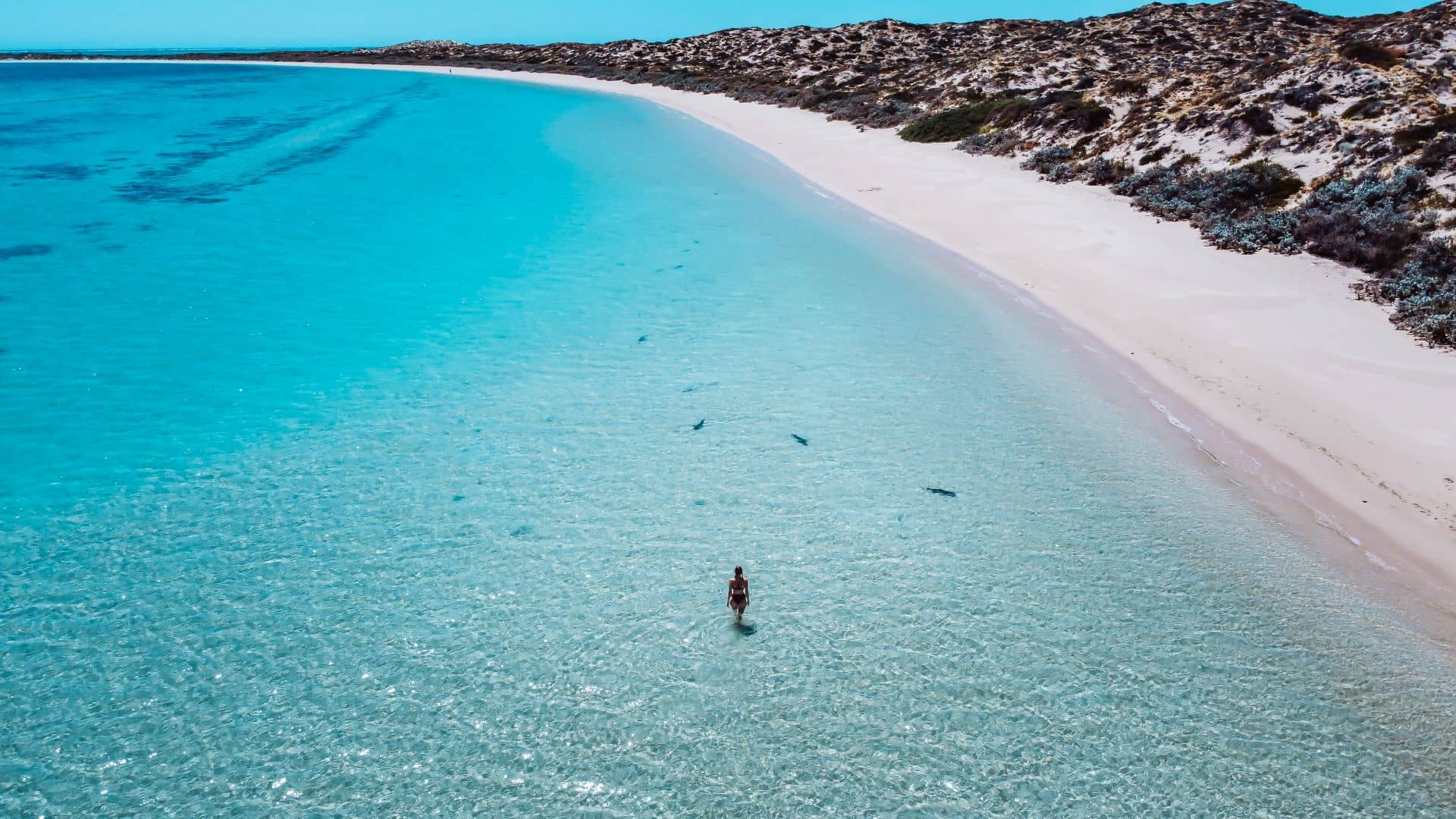 The best things to do in Coral Bay, Western Australia.