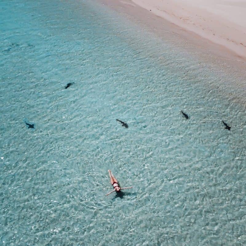 Lady swimming in Skeleton Bay, the shark nursery in Coral Bay, Western Australia. Great activity to do with families tin Coral Bay.