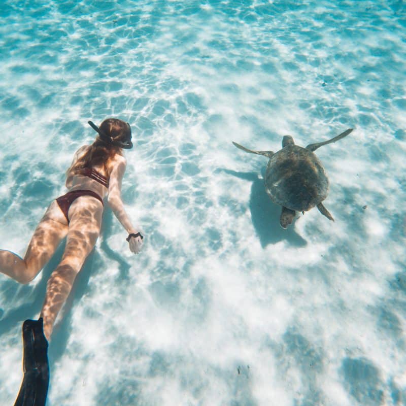 Snorkelling with turtles in Coral Bay, Western Australia.