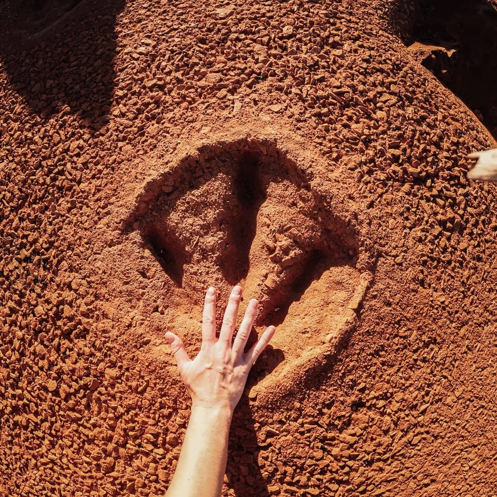 dinosaur footprints at gantheaume point broome. The print you can see at anytime of day