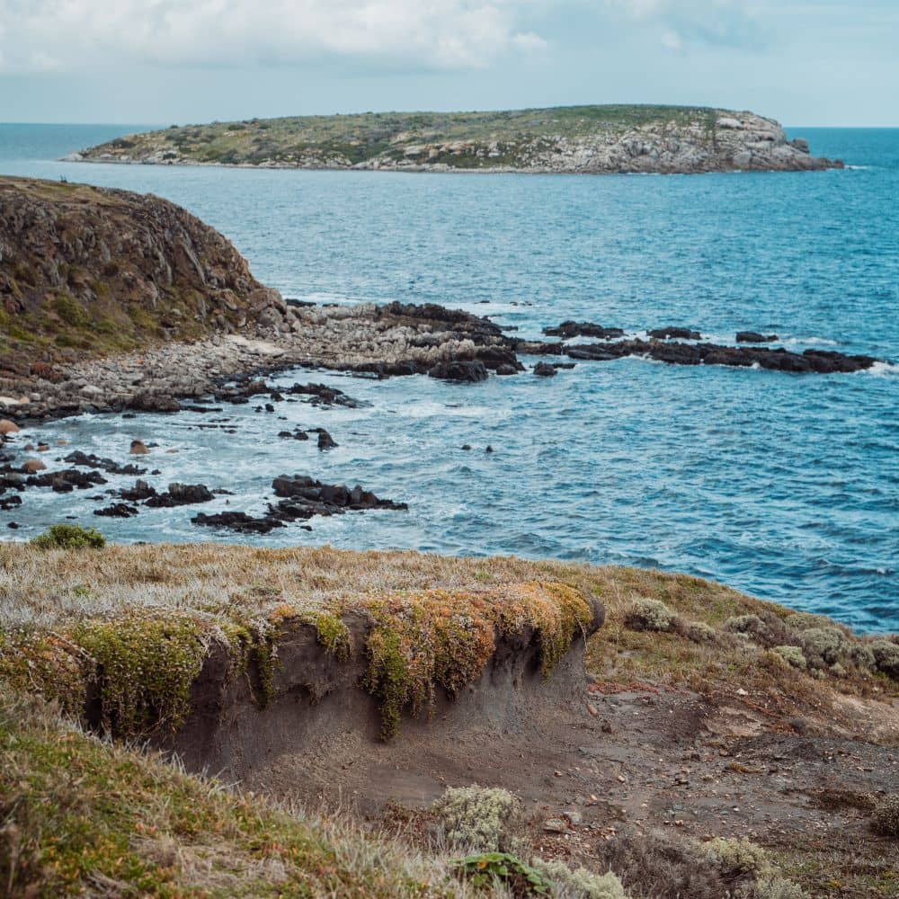 Views of Waitpinga Cliffs walk
