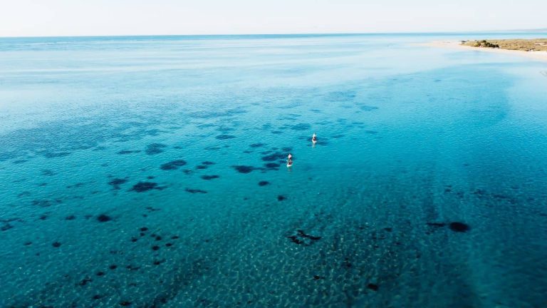 Stand up paddle boarding and amazing tours to do in Coral Bay, Western Australia