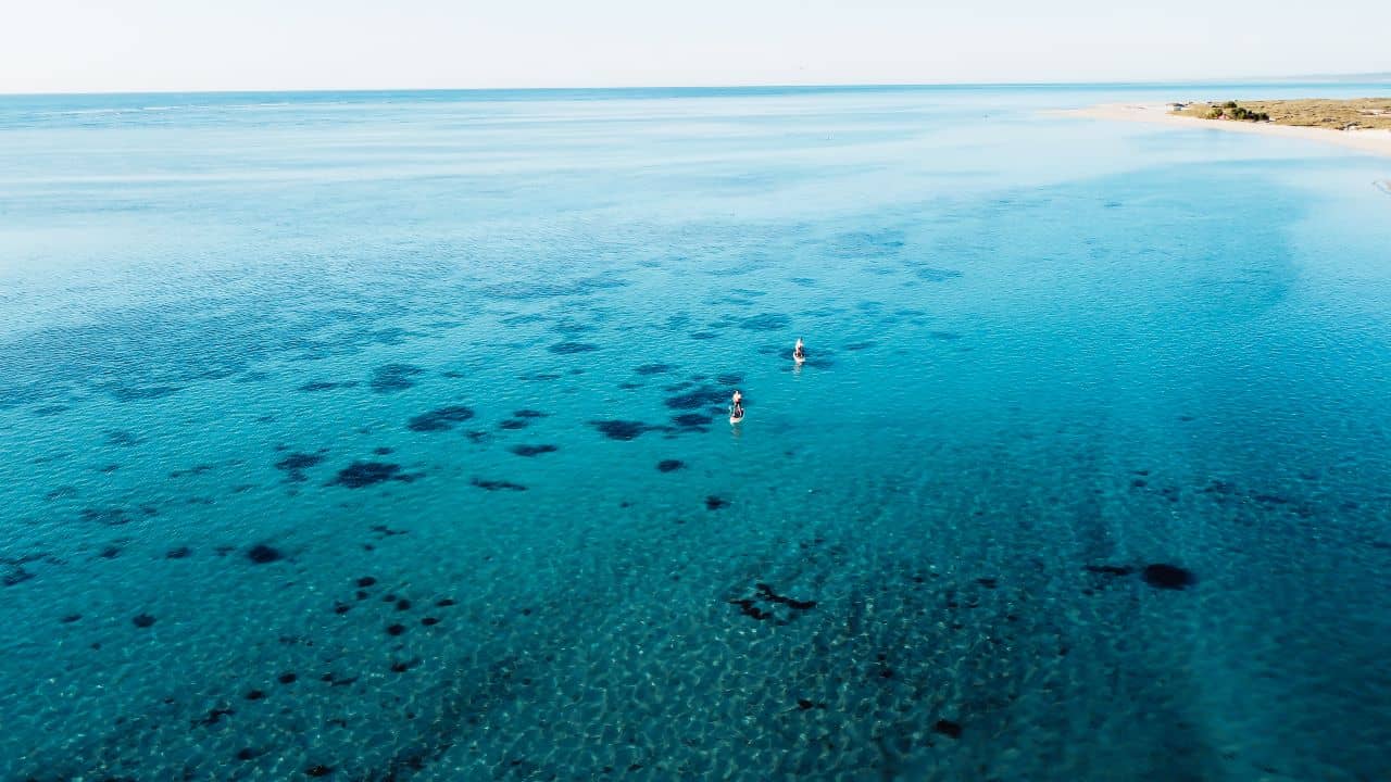 Stand up paddle boarding and amazing tours to do in Coral Bay, Western Australia