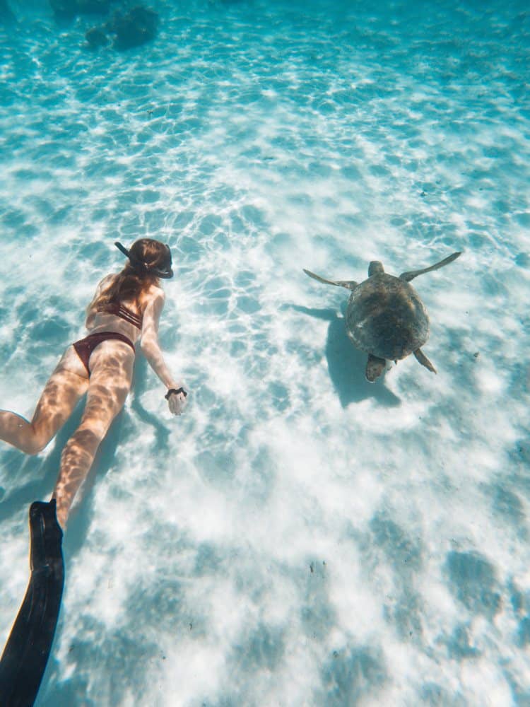 Places to swim with turtles in Exmouth, Western Australia