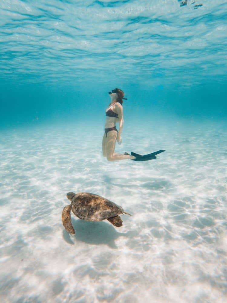 Bec swimming with a turtle on Ningaloo Reef