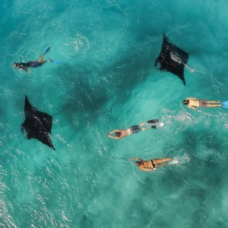 Best Bucket-List Tours In Exmouth: Swim With Whale Sharks and More!
