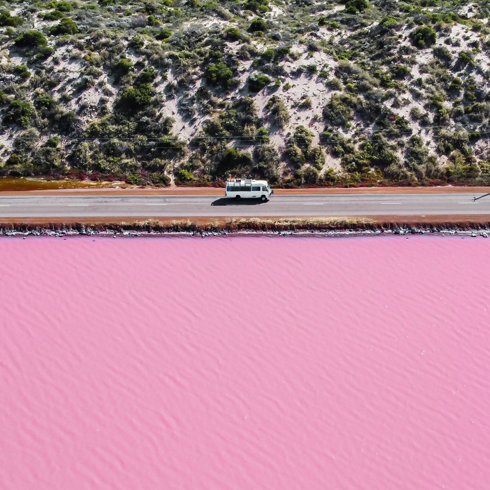 Salt and Charcoal bus driving next to Hut Lagoon or Pink Lake in Kalbarri, Western Australia