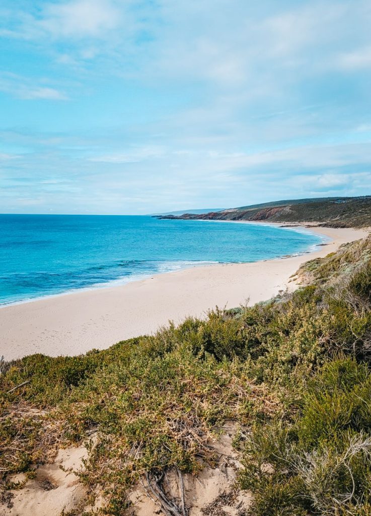 Injidup Beach Local attractions injidup yallingup southwest Australia