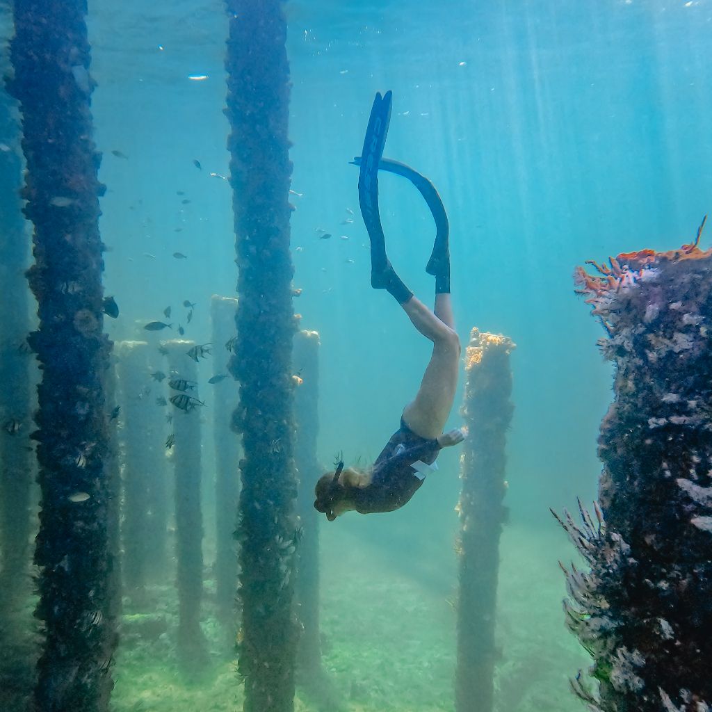 Underwater image of a snorkeller exploring Busselton Jetty