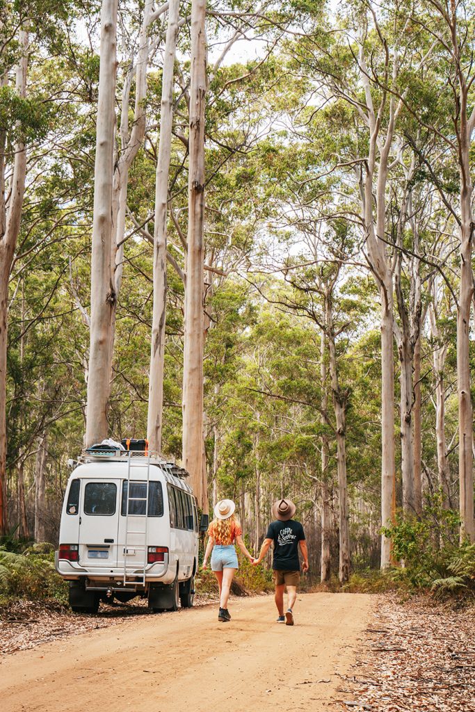 A couple beside a van holding hands while hiking in a forest with tall trees at the Boranup Forest, Margaret River, Western Australia