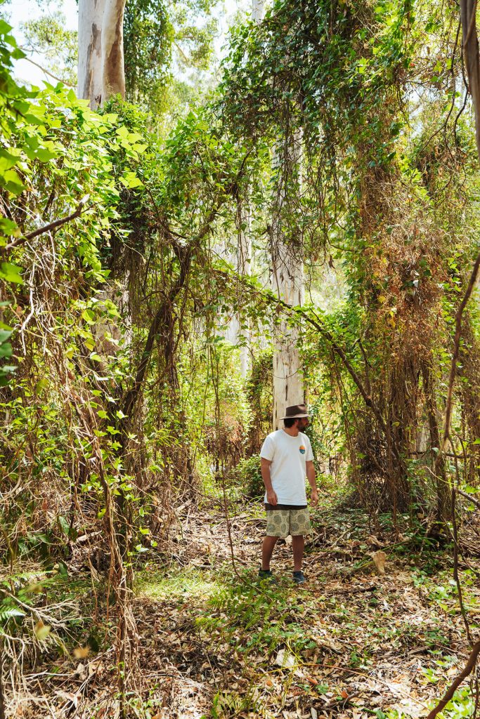 Chris walking on the forest near Margaret River Town, Western Australia