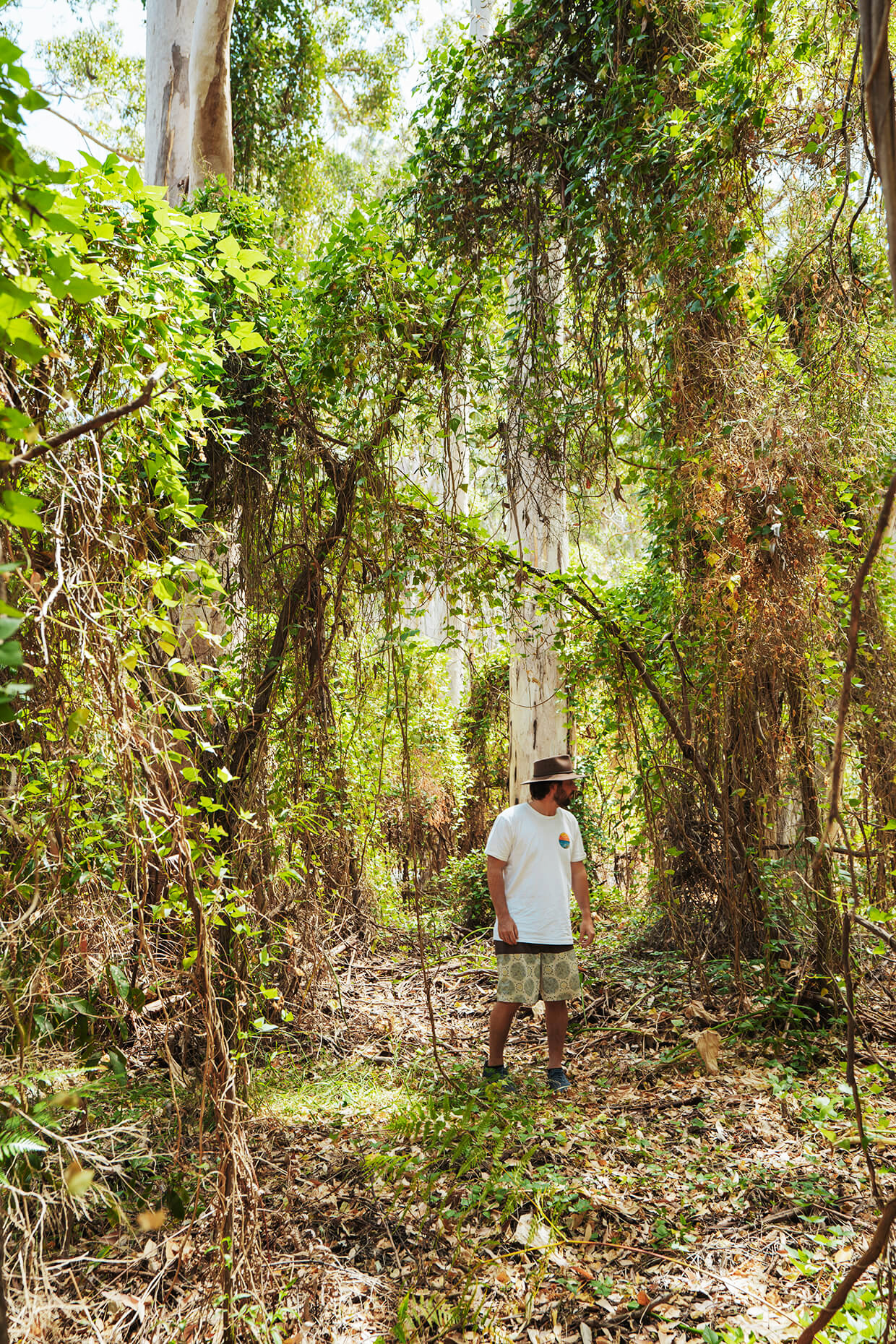 A traveller enjoying his self-guided walking trail in Eagle's Heritage Wildlife Centre in Margaret River Town, Western Australia