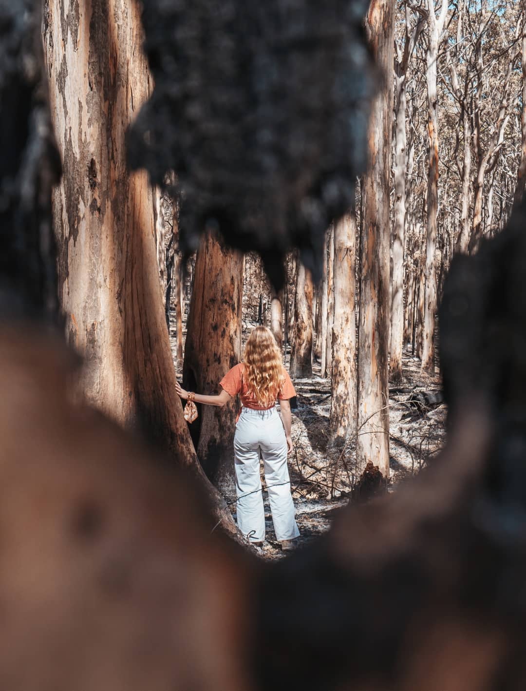 A woman enjoying hiking and other outdoor activities in a forest with tall trees in Margaret River, Western Australia