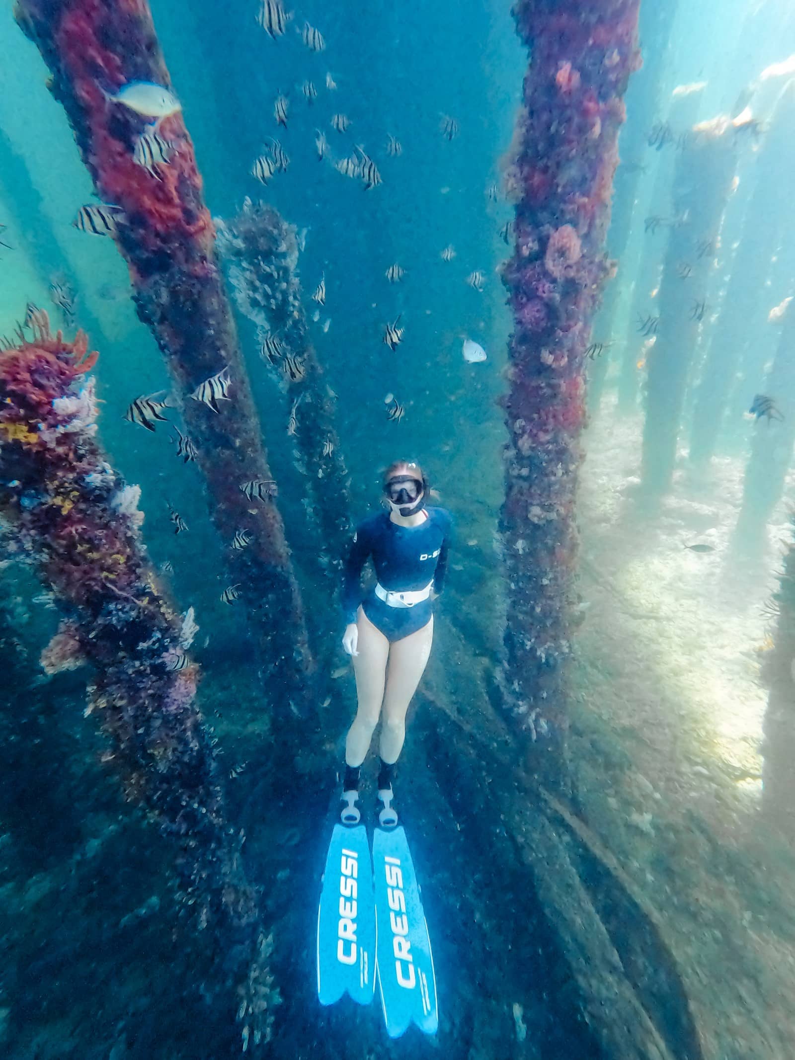 Scuba diver in blue gear hovering peacefully in the clear, turquoise waters showing things to do in Busselton Jetty's Underwater Observatory, Western Australia, surrounded by vibrant marine life and colorful coral-encrusted pillars.