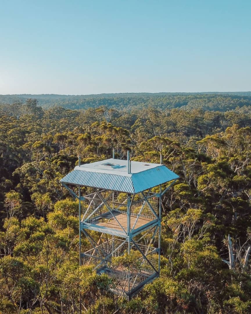 The lookout platform atop the Dave Evans Bicentennial Tree in Pemberton, Western Australia, offering panoramic views above the forest canopy.