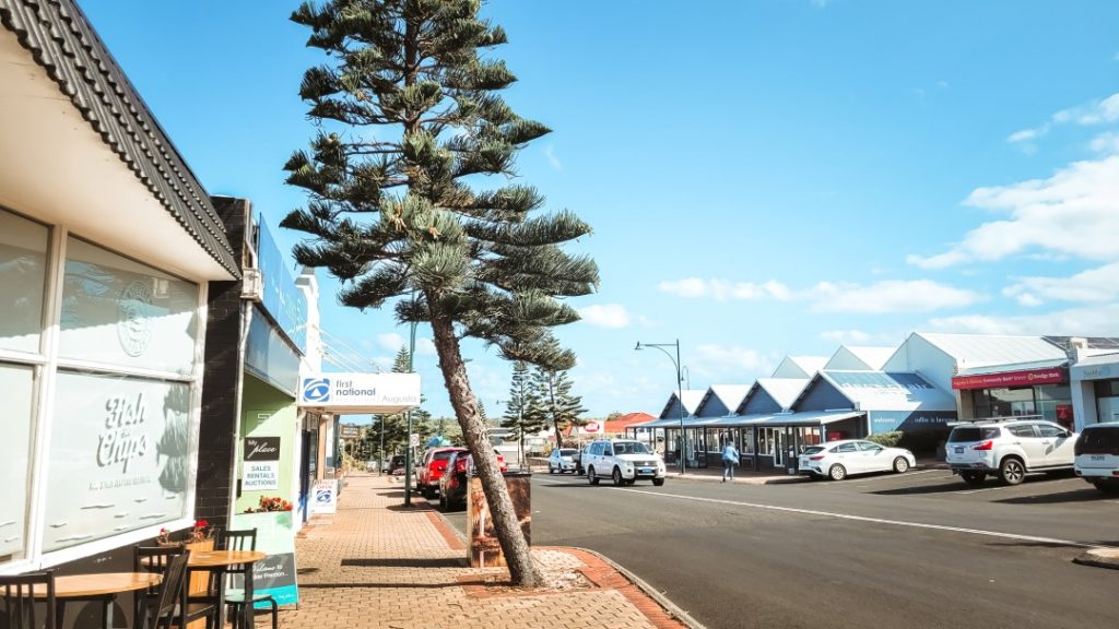 The main street of Augusta, Western Australia, featuring a row of local shops and businesses under a clear sky, with a distinctive Norfolk Pine tree adding to the town’s coastal charm.