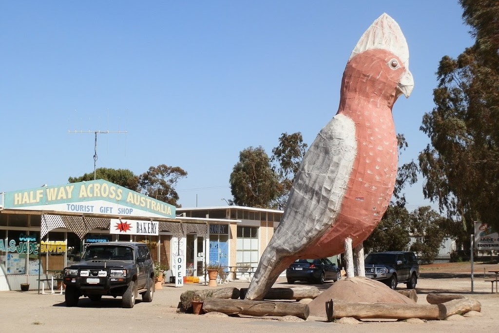 Image of "The Big Galah" statue outside the "Halfway Across Australia" tourist gift shop and bakery in Kimba, South Australia. The pink and grey bird sculpture stands prominently in front of the storefront, with vehicles parked nearby and trees in the background. The clear blue sky and the shop's signage reinforce the small-town charm of this roadside attraction.