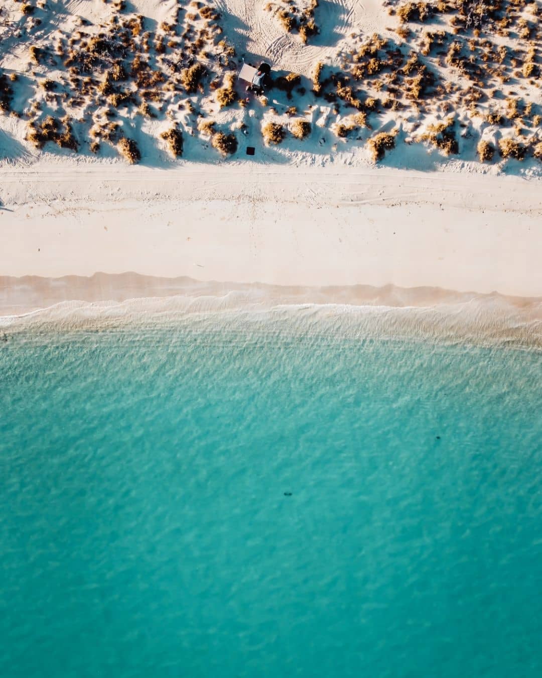 An aerial view of a pristine beach with turquoise water and white sand, bordered by sparse vegetation. It shows a lot of remote campsites perfect for a Perth to Exmouth road trip