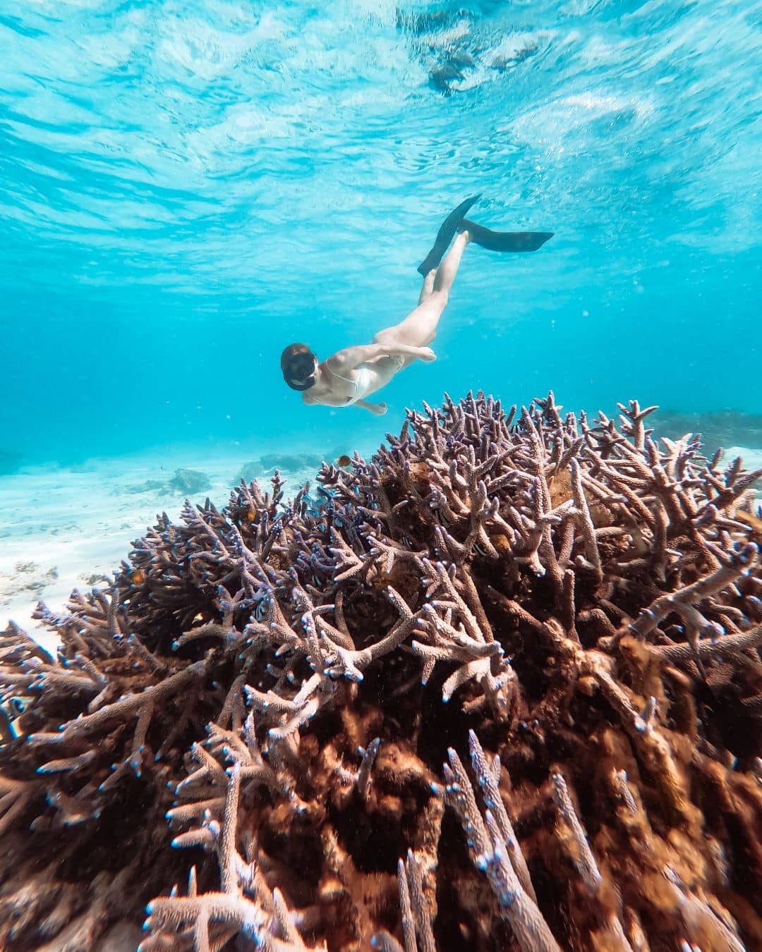 A snorkeler swims above a vibrant coral reef in the clear waters of Cape Range National Park. 