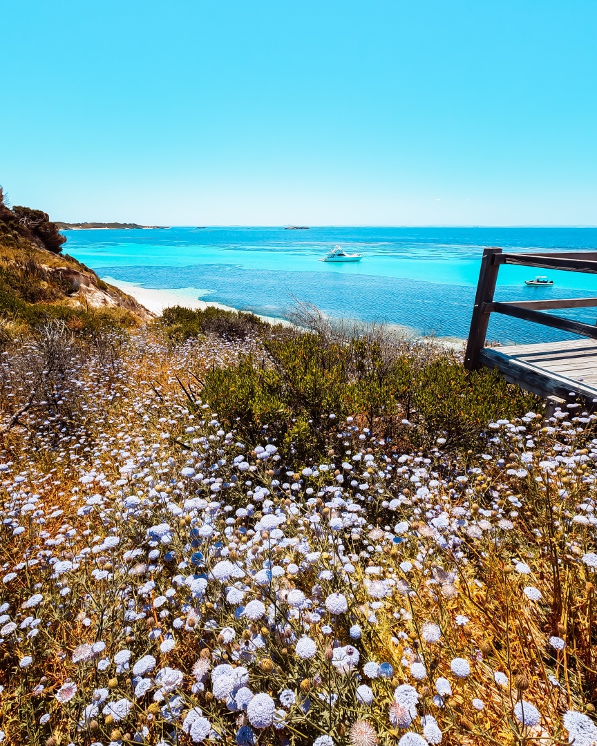 A scenic view of Parker Point on Rottnest Island, featuring a vibrant field of wildflowers in the foreground and a clear blue ocean with boats anchored in the distance. A wooden railing is visible to the right, overlooking the picturesque coastline.