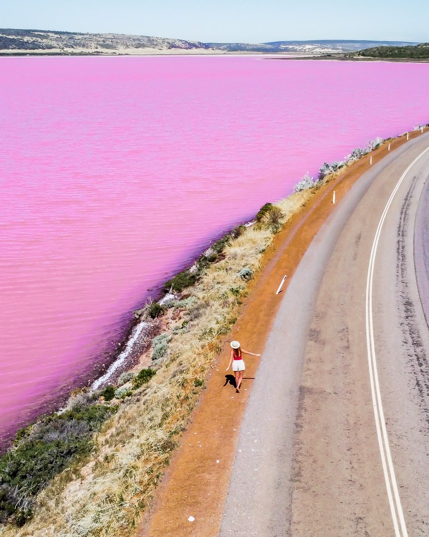 A woman in a red top and white skirt walks along a road next to the strikingly pink waters of Hutt Lagoon in Kalbarri, Western Australia. A Perfect stop for a Perth to Exmouth Road Trip
