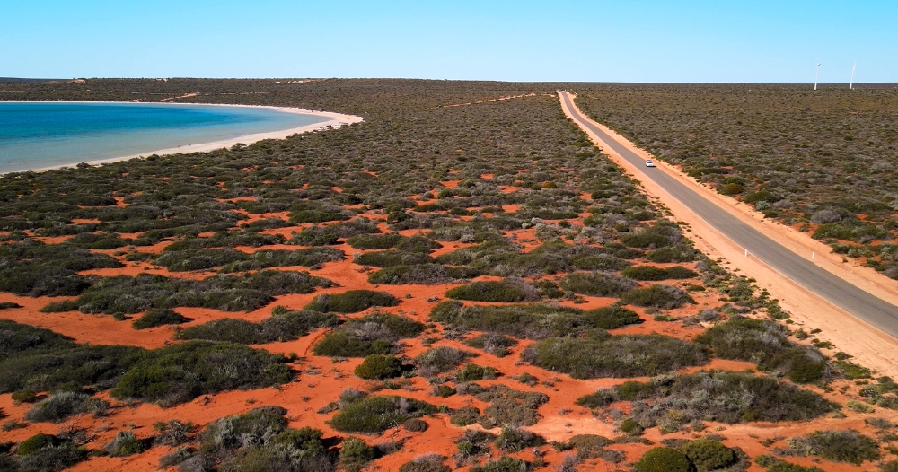 Aerial view of a coastal road in François Peron National Park, Shark Bay, with red sandy terrain, scattered vegetation, and a pristine beach with turquoise water. It shows a scenery to enjoy on a Perth to Exmouth road trip








