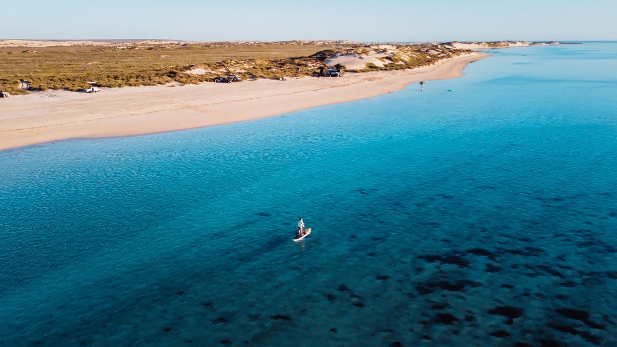 An aerial view of a tranquil beach scene in Exmouth, showcasing a wide expanse of clear blue waters bordered by a sandy beach. On the left, a few vehicles are parked on the dunes, while in the water, one person is standing on a paddleboard, alone in the sea. Perth to Exmouth tours