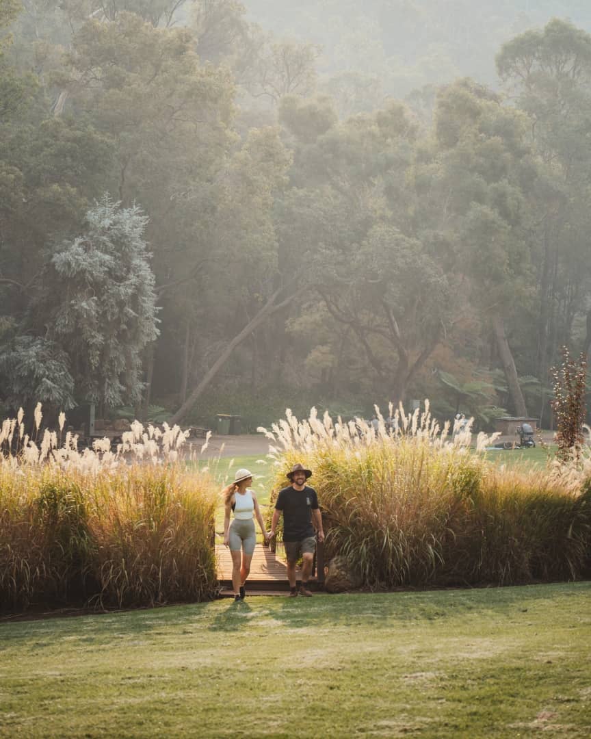 A couple walks hand in hand through the lush greenery of Araluen Botanic Park near Perth, Australia. The morning sunshine and tall grasses create a perfect atmosphere for hiking and exploring. It shows the best time to visit Perth
