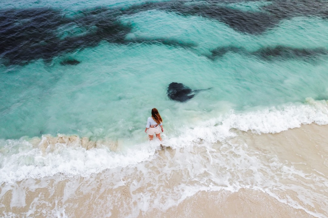 A woman stands at the beach's edge in Hamelin Bay, Western Australia, with clear turquoise water and a large stingray visible in the waves. It shows that Hamelin Bay has one of the best beaches in Margaret river region