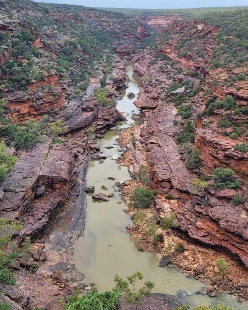 A view of the Z Bend in Kalbarri National Park, Western Australia, showcasing the winding river and red rock canyon.