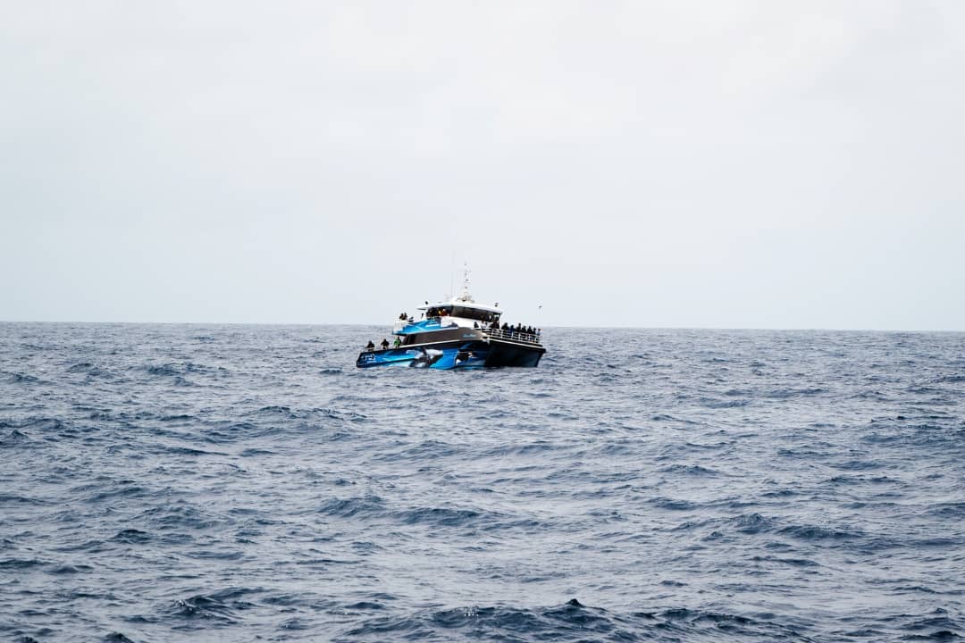 A tour boat on the ocean, filled with people, during the best orca tour Bremer Bay.