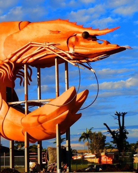 An image of the Big Prawn Ballina