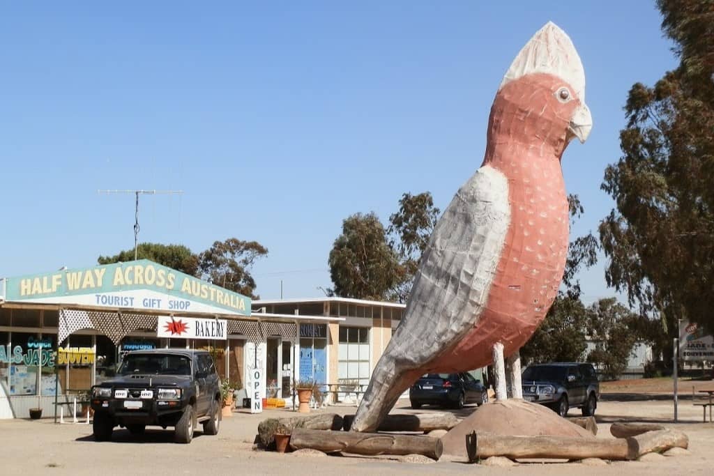 A large statue of a pink and grey galah bird stands prominently in front of a tourist gift shop labeled "Half Way Across Australia," with a bakery and various souvenirs, located under a clear blue sky. It shows one of the places to go to if you are looking for things to do in port Augusta